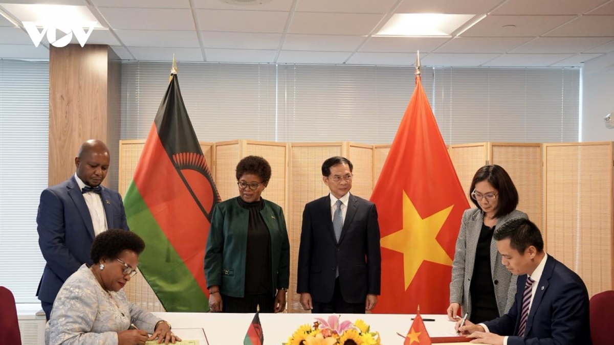 Vietnam and Malawi establish diplomatic relations